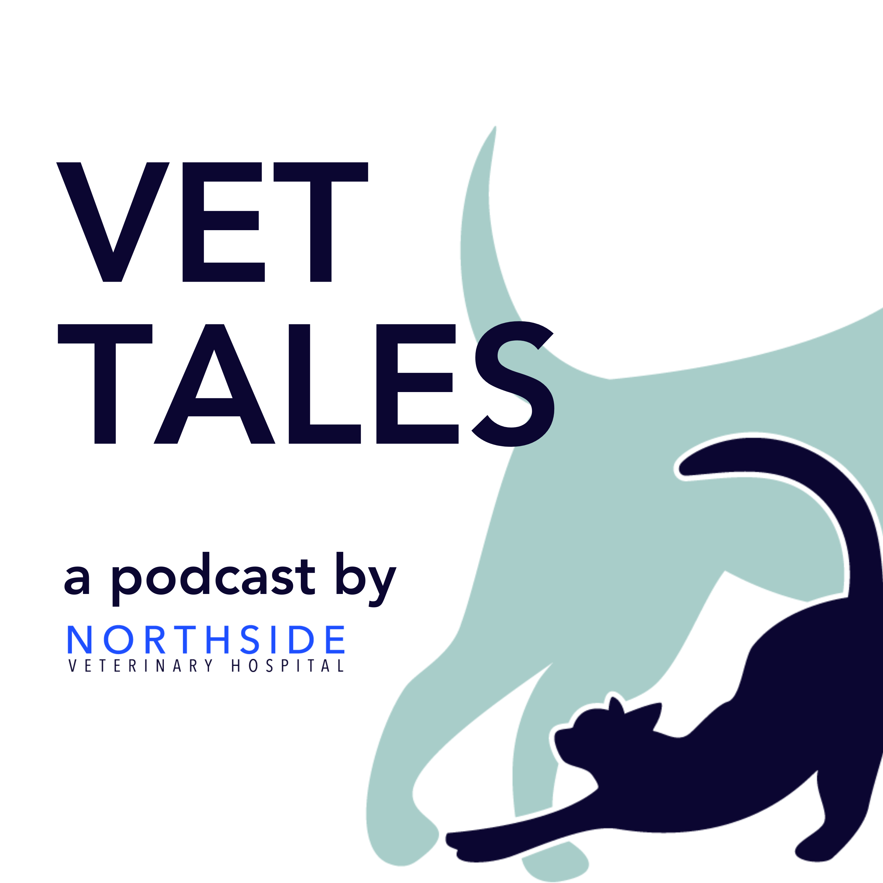 Northside veterinary best sale